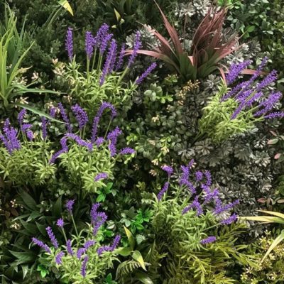 fake lavender plants in green wall