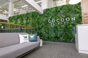 Cocoon networks plant privacy screen