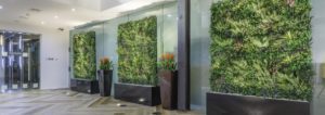 Mobile Green Wall Solution