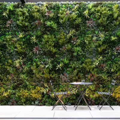 Vistafolia Lush Green Living Wall