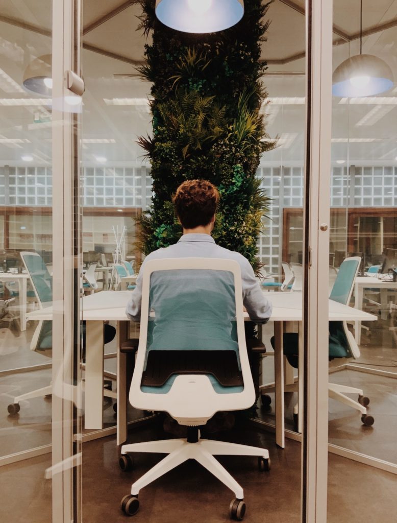 Artificial plant wall creating privacy in office for workplace wellbeing