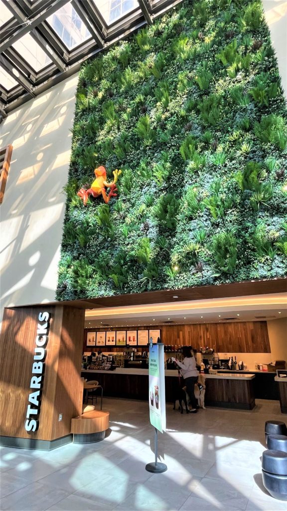 Faux Green Wall on a Starbucks in Dallas Texas