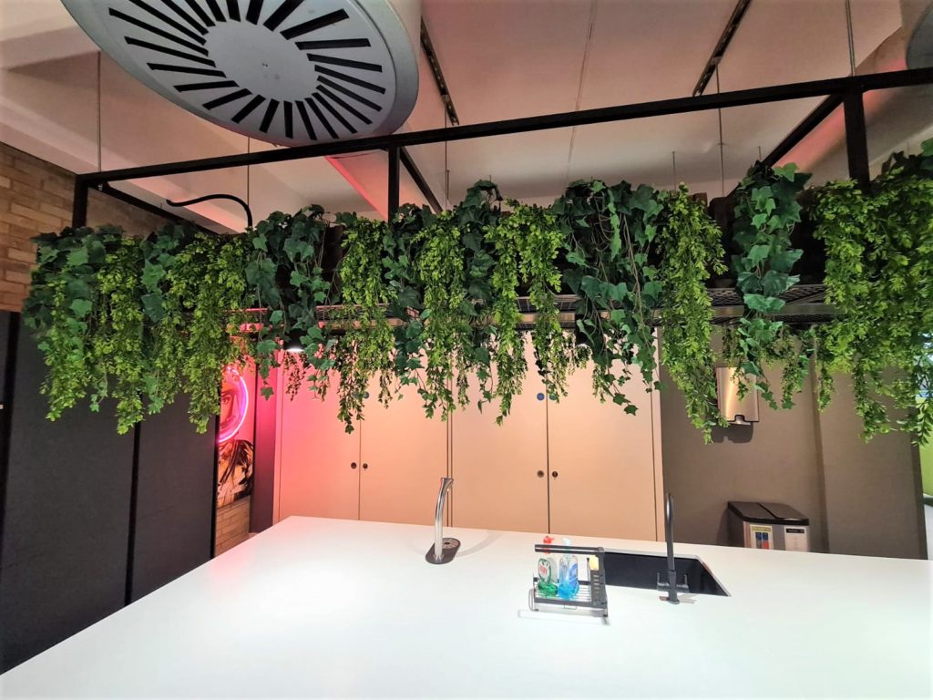 Artificial hanging ivy plant installation for a London office