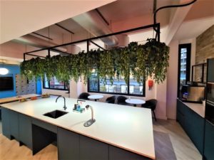 Artificial trailing plant installation for a London office