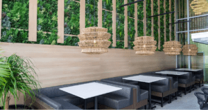 Moxies restaurant in Fort Lauderdale, Florida with a faux green wall