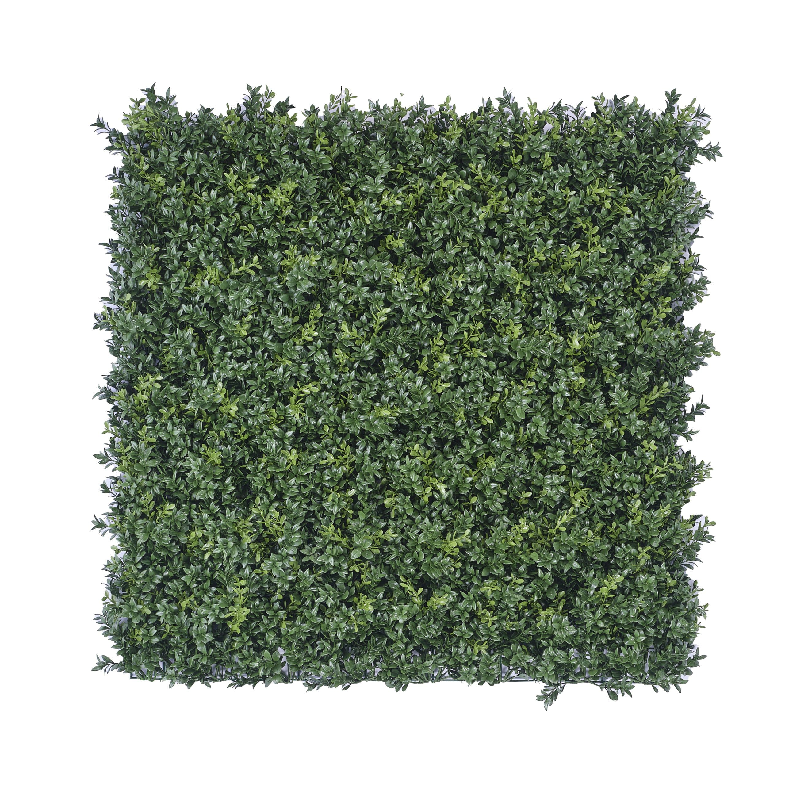 An image of the Vistafolia Luxury Boxwood Panel