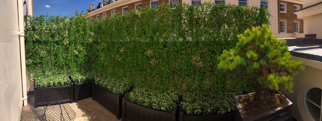 a fake ivy wall in a private garden